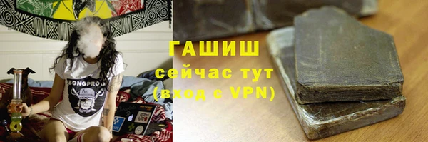 a pvp Бородино