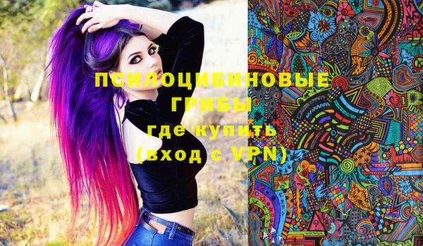 дживик Бронницы