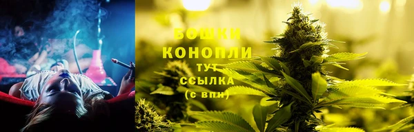 дживик Бронницы