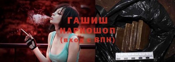 a pvp Бородино