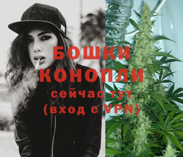 шишки Бугульма