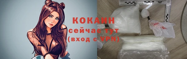 a pvp Бородино