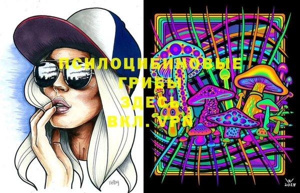 дживик Бронницы