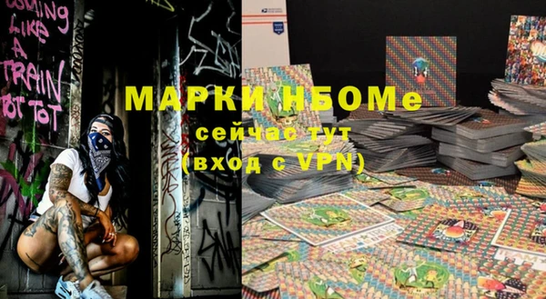 дживик Бронницы