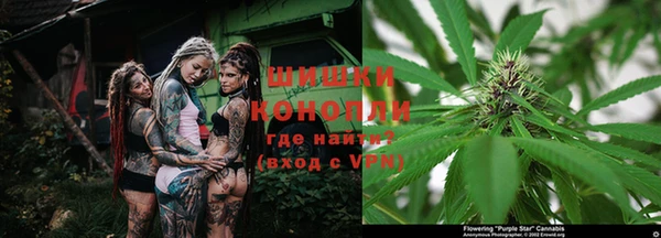 шишки Бугульма